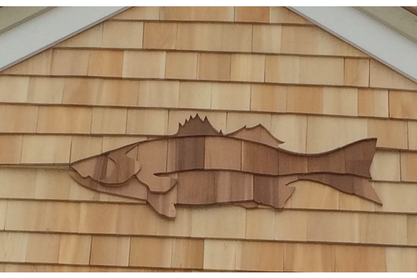 Shingle decal